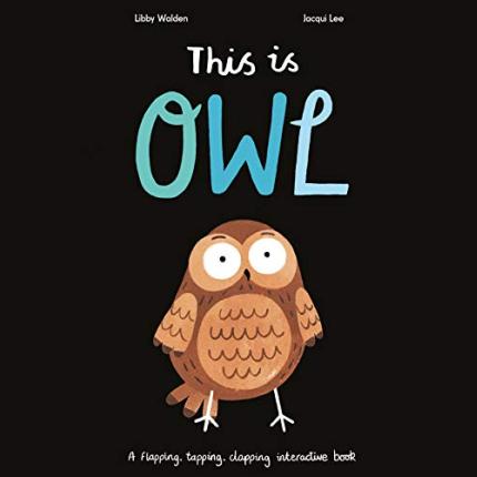 This is Owl: A flapping, tapping, clapping interactive book