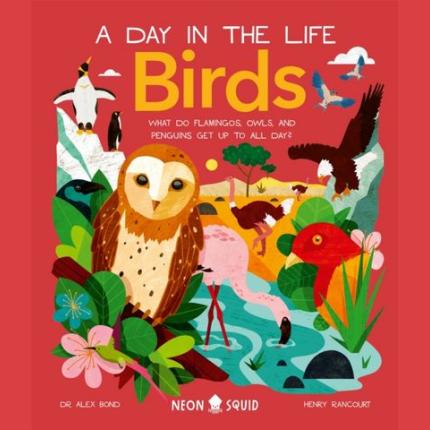 A Day in the Life: Birds