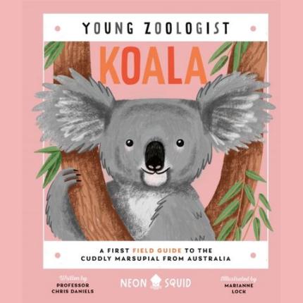 Young Zoologist: Koala