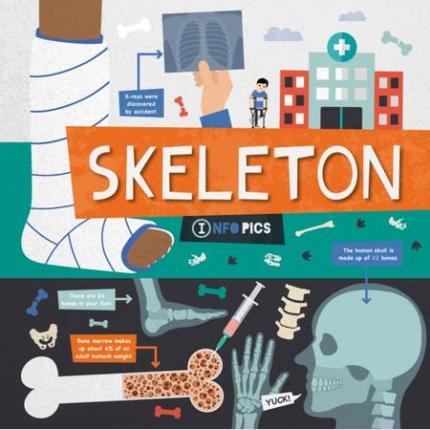 InfoPics: Skeleton