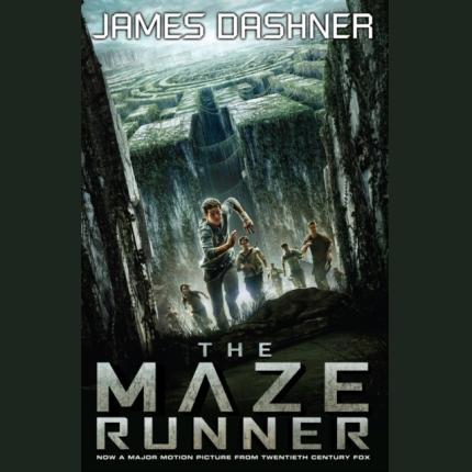 The Maze Runner