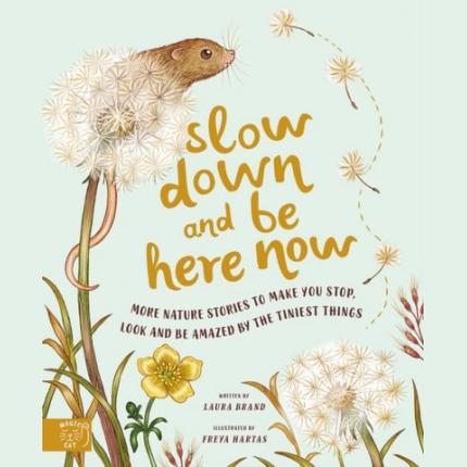 Slow Down and Be Here Now: More Nature Stories to Make You Stop, Look and Be Amazed by the Tiniest Things