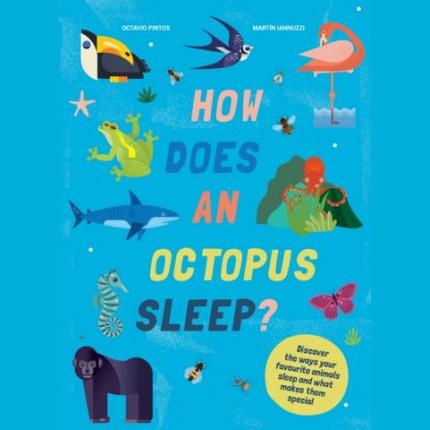 How Does An Octopus Sleep?: Discover the ways your favourite animals sleep and what makes them special