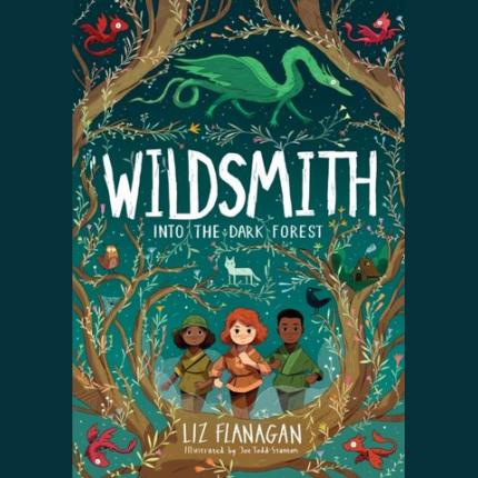 Into the Dark Forest: The Wildsmith #1