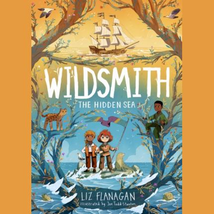 The Wildsmith 3: The Hidden Sea