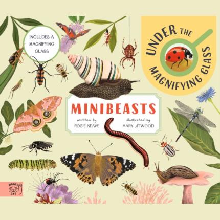 Minibeasts: Under the Magnifying Glass