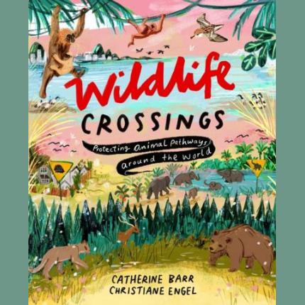Wildlife Crossings: Protecting Animal Pathways Around the World