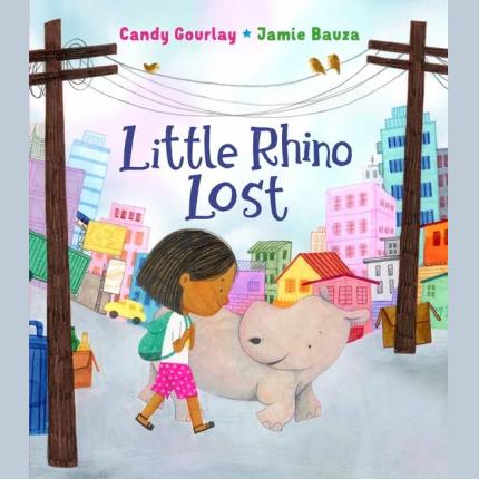 Little Rhino Lost