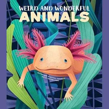 Weird and Wonderful Animals