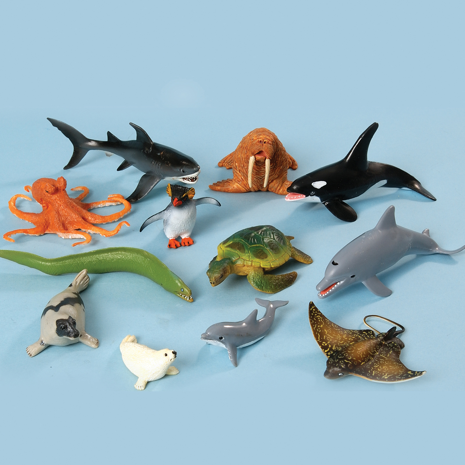 Product photography at TTS 25/10/05